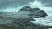 divoké vlny Pacifiku